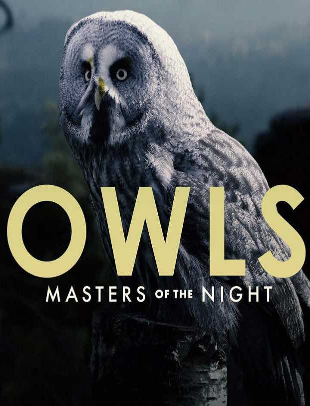 فيلم Owls: Masters of the Night 2020 مترجم اون لاين