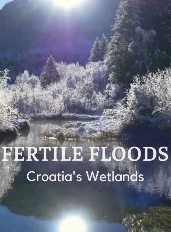 فيلم Fertile Floods: Croatia’s Wetlands 2018 مترجم اون لاين