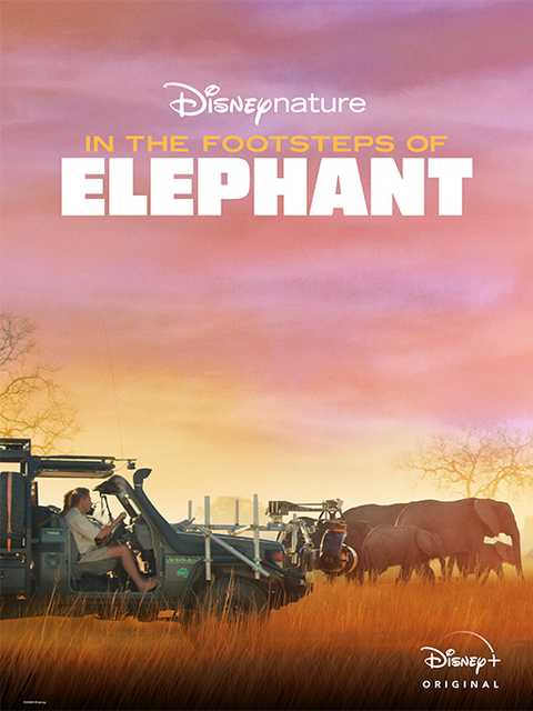 فيلم In the Footsteps of Elephant 2020 مترجم اون لاين