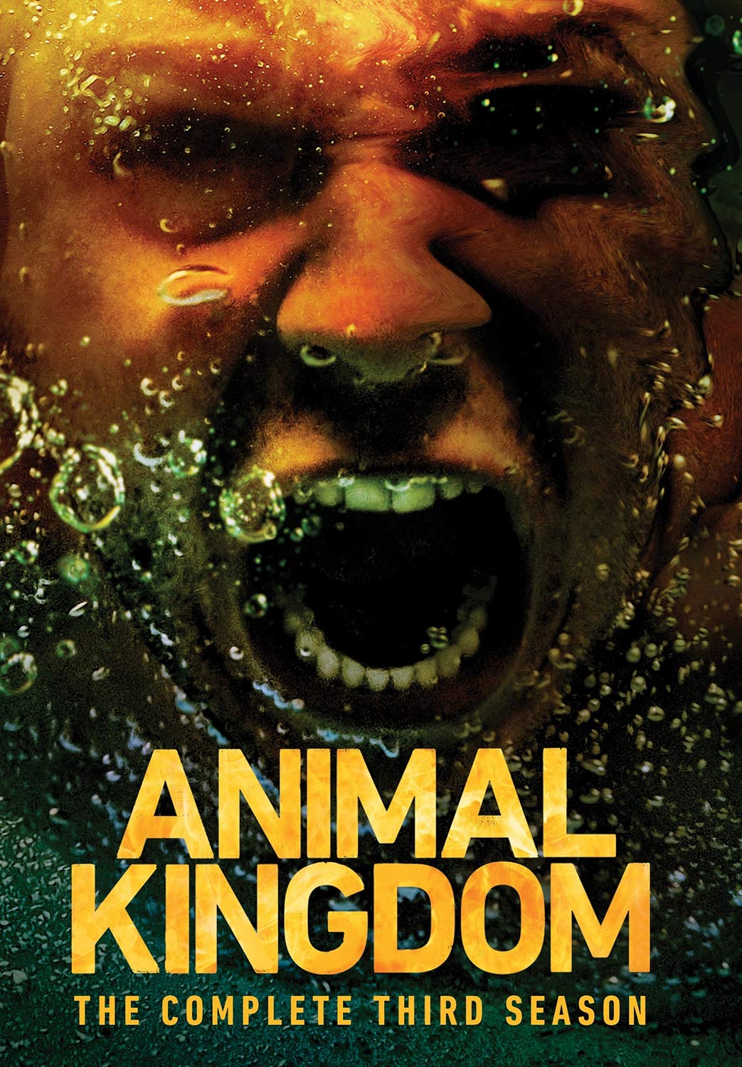 مسلسل Animal Kingdom الموسم الثالث حلقة 10