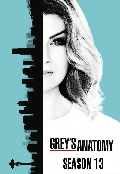 مسلسل Grey’s Anatomy الموسم 13 حلقة 14