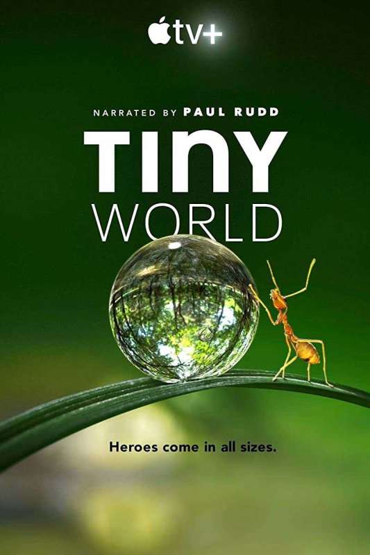 مسلسل Tiny World الموسم الاول حلقة 5