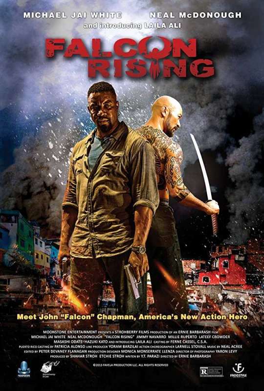 فيلم Falcon Rising 2014 مترجم