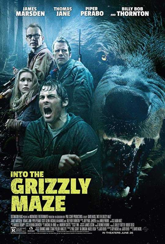 فيلم Into The Grizzly Maze 2015 مترجم