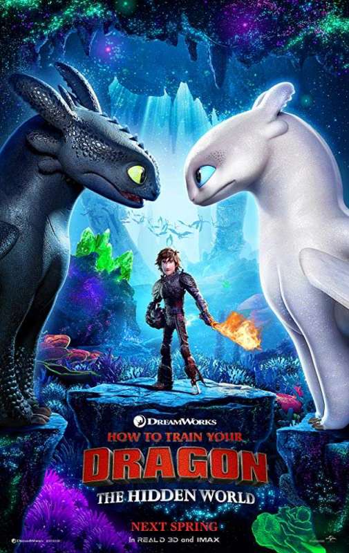 فيلم How to Train Your Dragon: The Hidden World 2019 مترجم