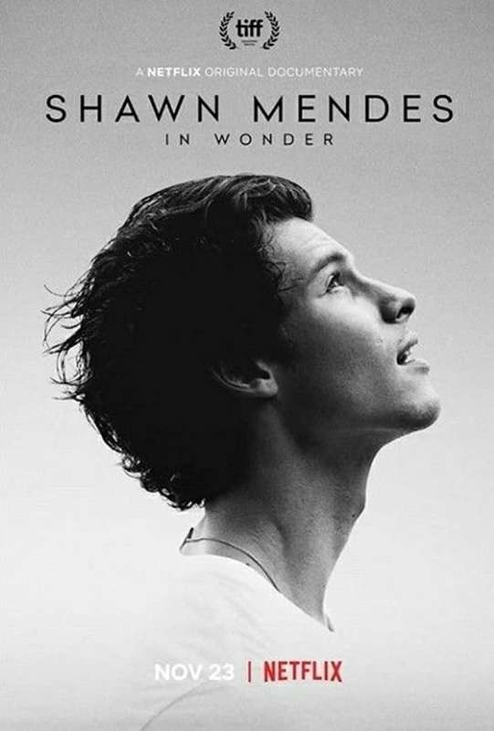 فيلم Shawn Mendes: In Wonder 2020 مترجم اون لاين