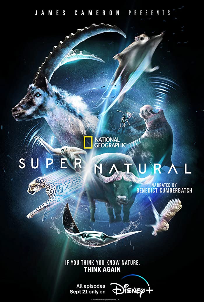 مسلسل Super/Natural الموسم الاول حلقة 6 والاخيرة