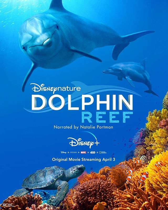 فيلم Dolphin Reef 2020 مترجم اون لاين