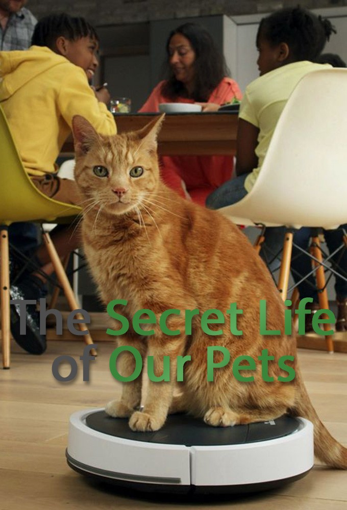 مسلسل The Secret Life of Our Pets الموسم الاول حلقة 4 والاخيرة