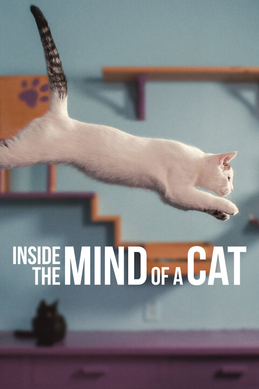 فيلم Inside the Mind of a Cat 2022 مترجم اون لاين