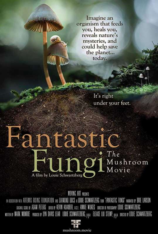 فيلم Fantastic Fungi 2019 مترجم اون لاين