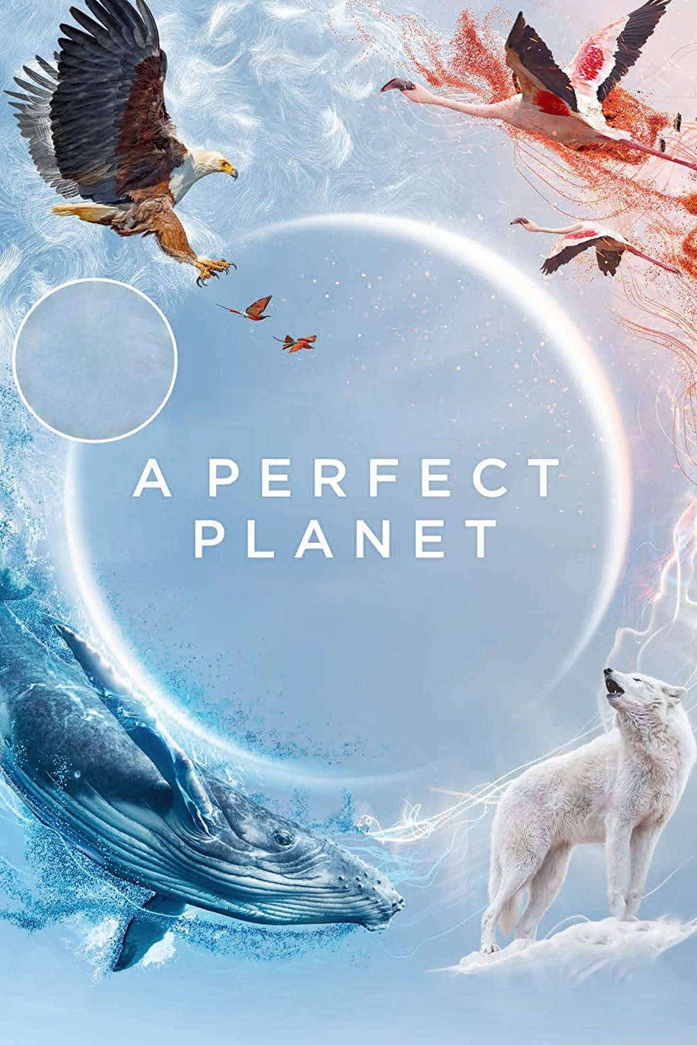 مسلسل A Perfect Planet الموسم الاول حلقة 4