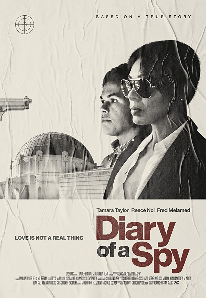 فيلم Diary of a Spy 2022 مترجم اون لاين