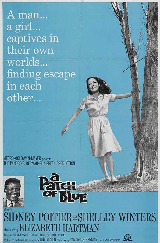 فيلم A Patch of Blue 1965 مترجم اون لاين