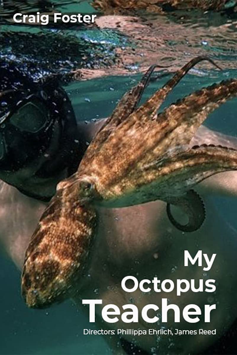 فيلم My Octopus Teacher 2020 مترجم اون لاين