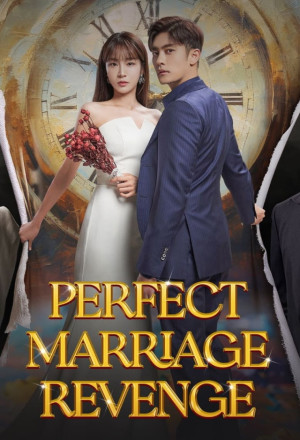 مسلسل انتقام زواج مثالي Perfect Marriage Revenge حلقة 9