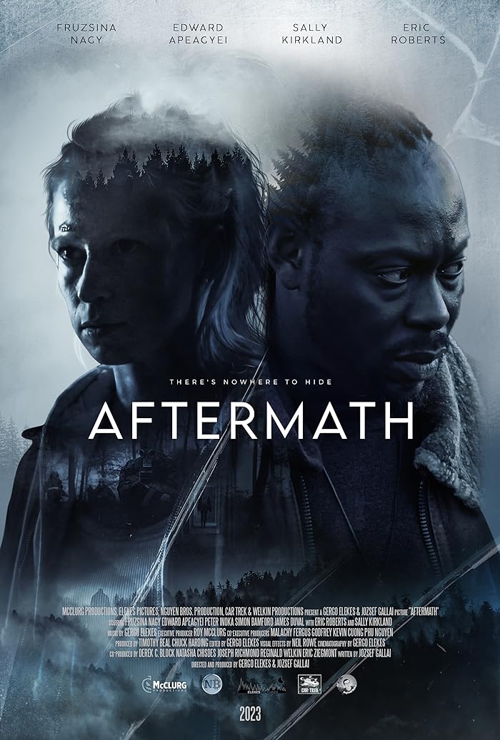 فيلم Aftermath 2024 مترجم اون لاين